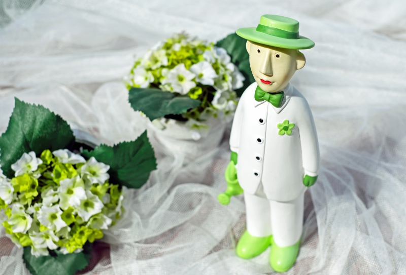 ecommerce-VILLENEUVE D ENTRAUNES-min_man-person-flower-green-toy-fig-546529-pxhere.com